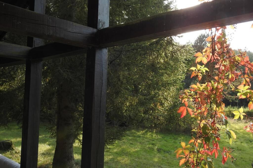 Modrzewiowy Domek Letniskowy - Stare Czaple Brodnica  ภายนอก รูปภาพ