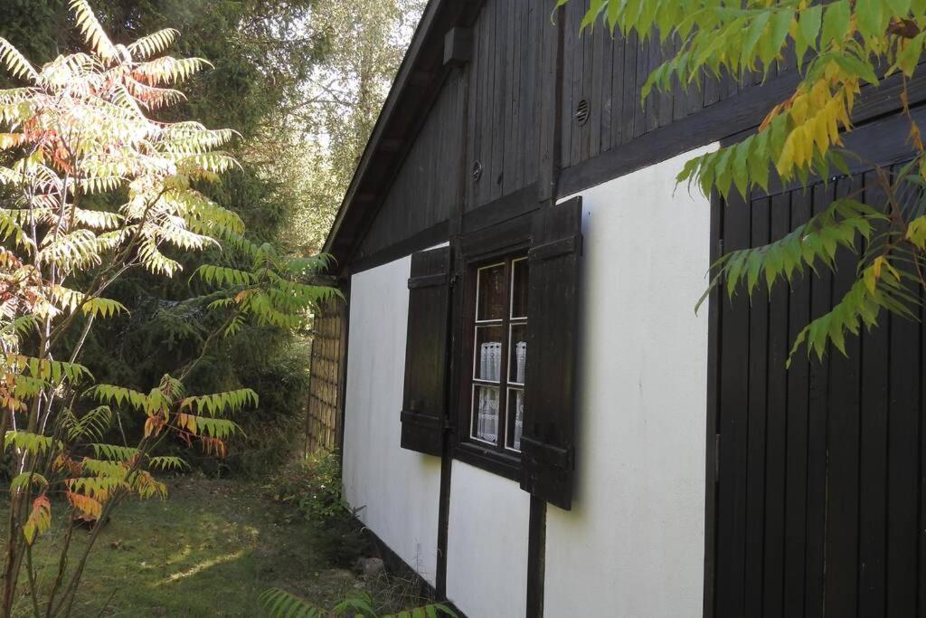 Modrzewiowy Domek Letniskowy - Stare Czaple Brodnica  ภายนอก รูปภาพ