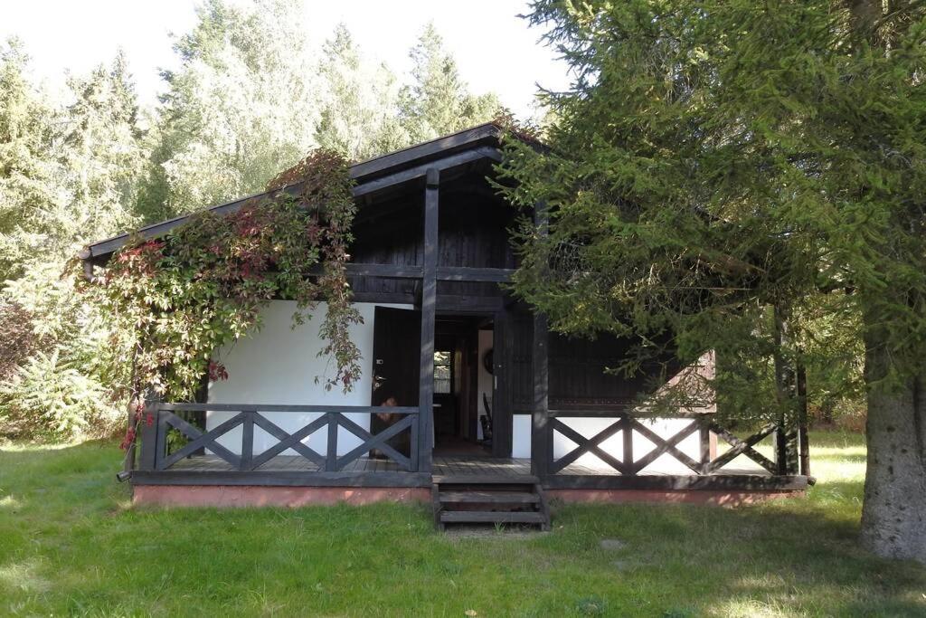 Modrzewiowy Domek Letniskowy - Stare Czaple Brodnica  ภายนอก รูปภาพ