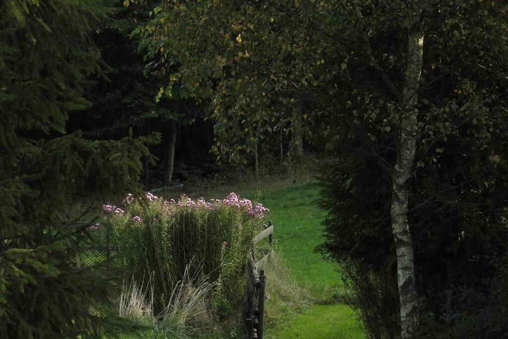 Modrzewiowy Domek Letniskowy - Stare Czaple Brodnica  ภายนอก รูปภาพ